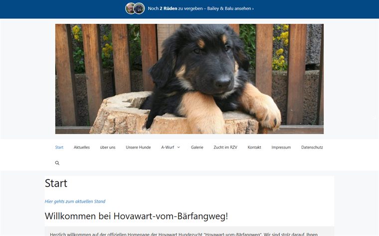 Startseite der Hovawart-Zucht vom Bärfangweg